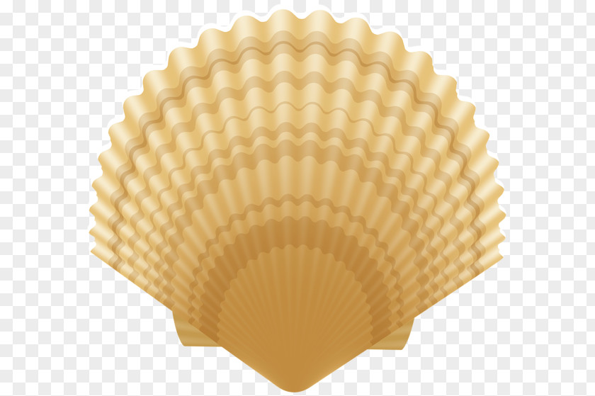 Seashell Clam Clip Art Image Vector Graphics PNG