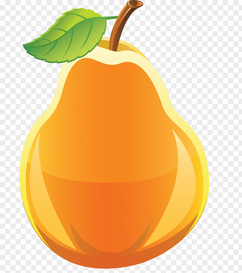 Avocado Clip Art Openclipart Asian Pear PNG
