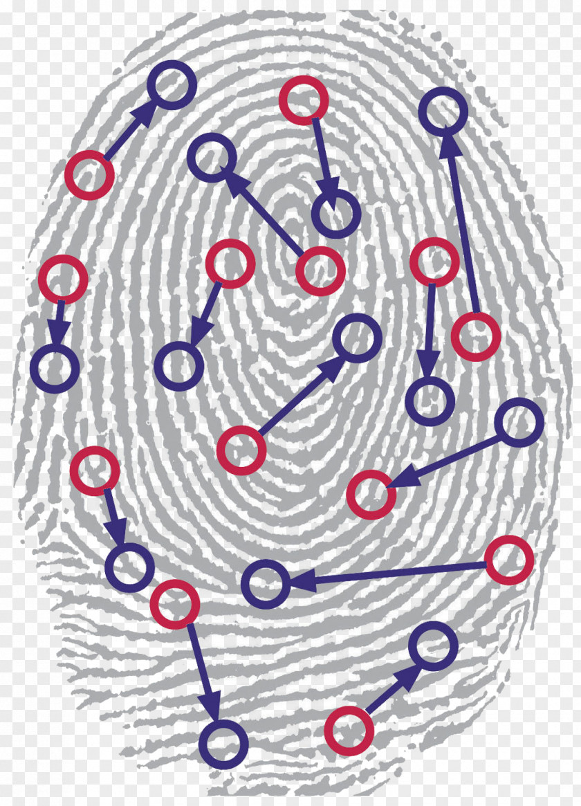 Biometrics Automated Fingerprint Identification Biometric Passport PNG