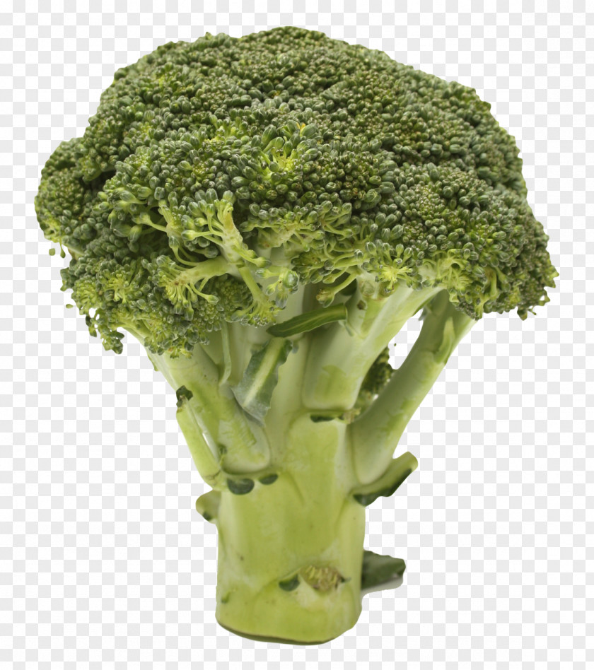 Broccoli Image Resolution PNG
