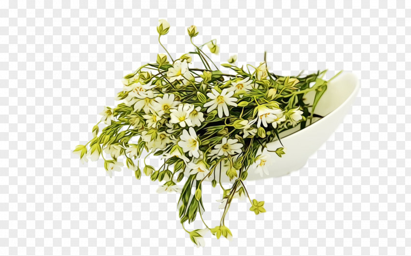 Floral Design PNG