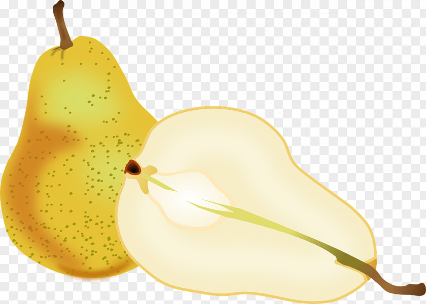 Fresh Asian Pear Fruit Clip Art PNG