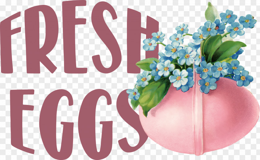 Fresh Eggs PNG