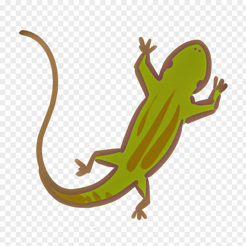 Gecko Lizard Reptiles Chameleons Common Iguanas PNG