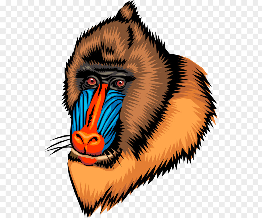 Gorilla Ape Mandrill Primate Baboons PNG