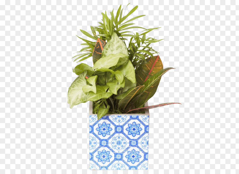 Leaf Flowerpot Floral Design Houseplant PNG