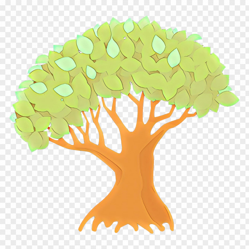 Tree Leaf Woody Plant Grass PNG