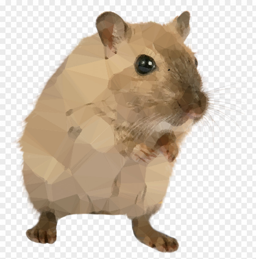 Brown Rat Rodent Mus Clip Art PNG