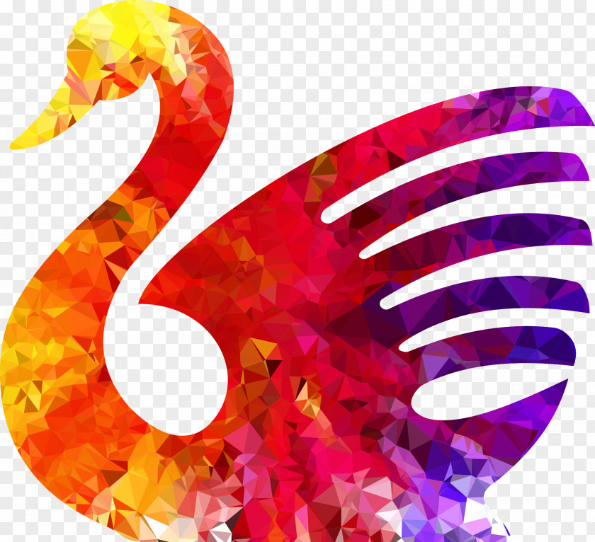 Colorful Swan Cygnini Bird Pixabay Stock.xchng PNG