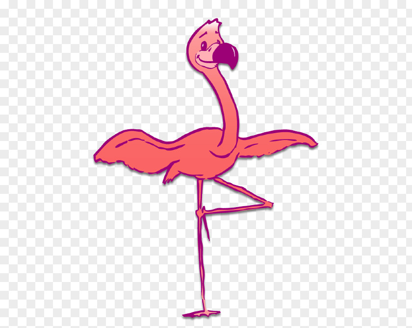 Flamingo Illustration Bird Royalty-free Clip Art PNG