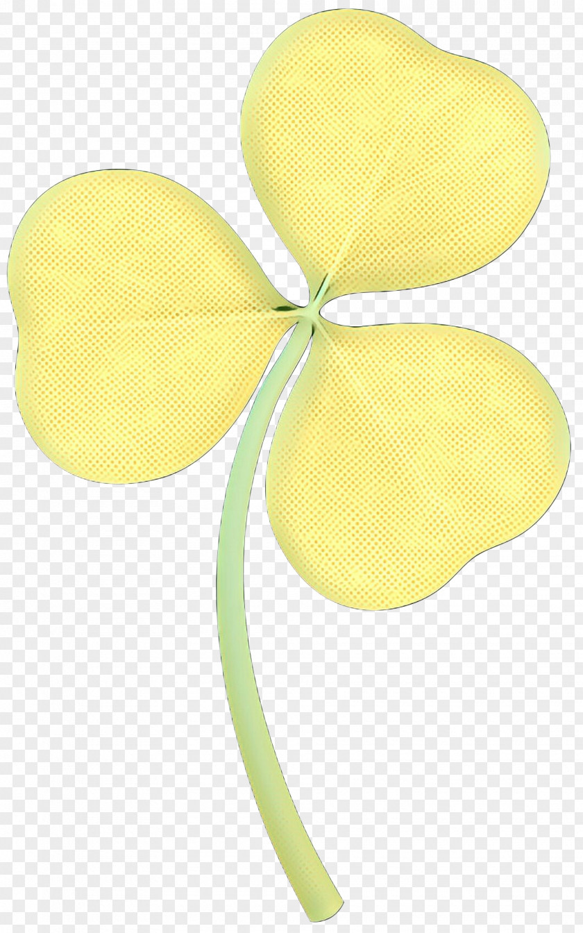 Flower Plant Yellow Leaf Petal PNG