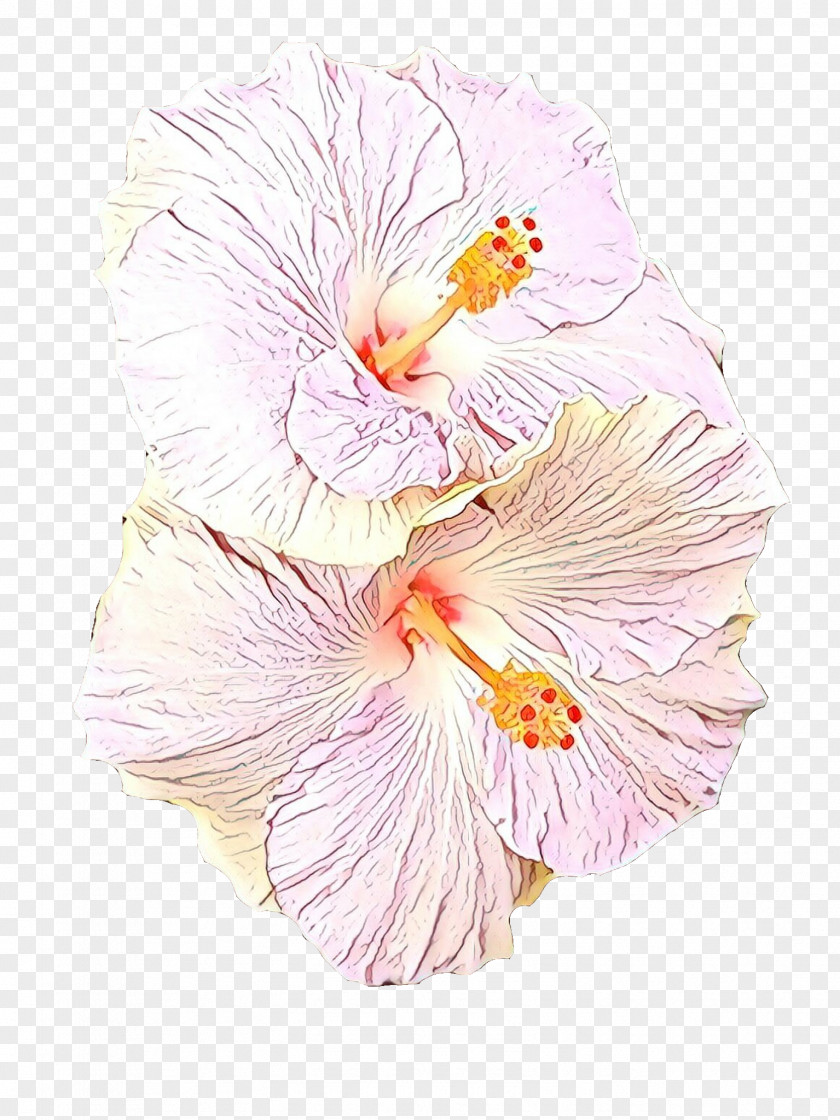 Flowering Plant Petal Hawaiian Hibiscus Flower Pink Chinese PNG