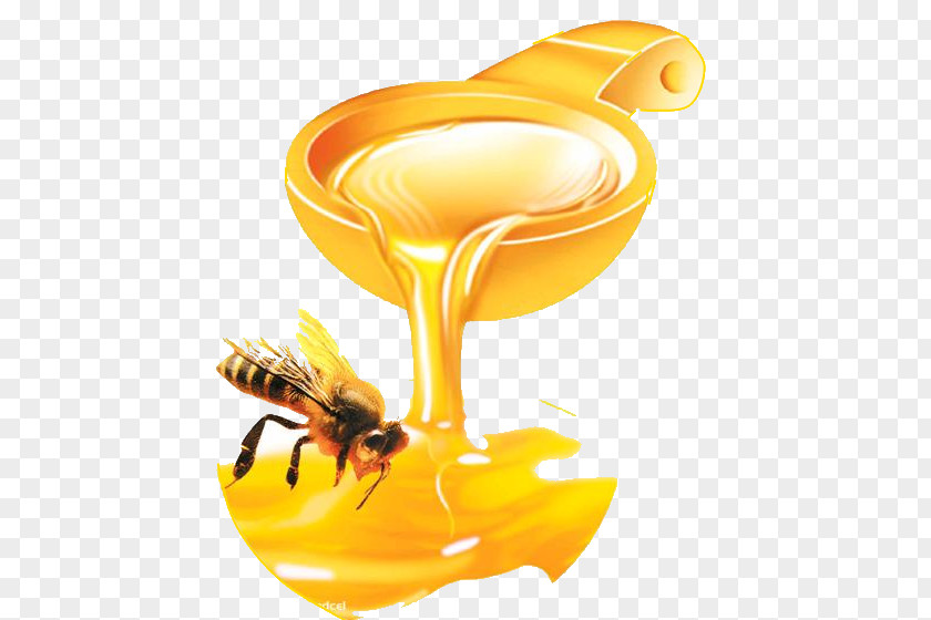 Honey Bee Pancake Food PNG