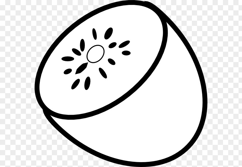 Kiwi Cliparts Kiwifruit Black And White Clip Art PNG