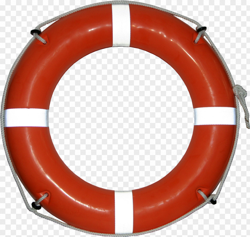 Lifebuoy Computer Network Internet Download PNG