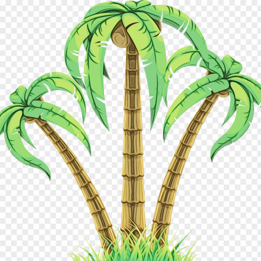 Palm Trees PNG