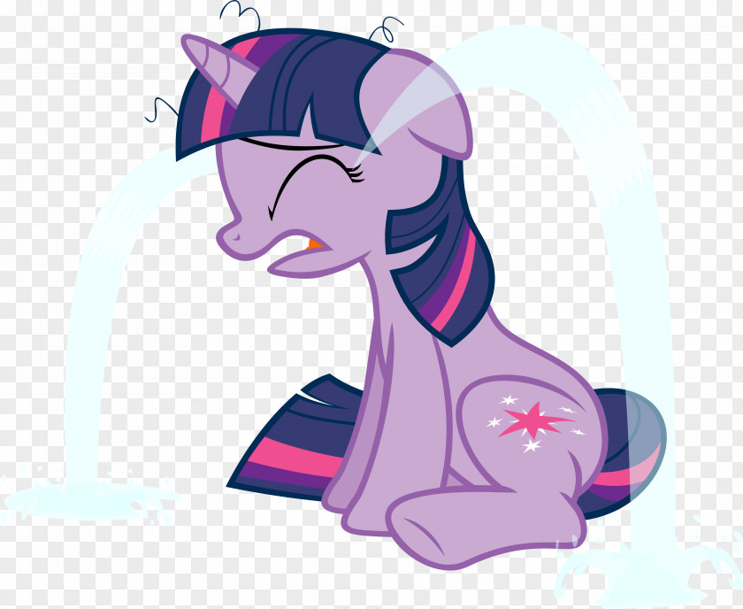 Twilight Sparkle Pony Rainbow Dash YouTube Crying PNG