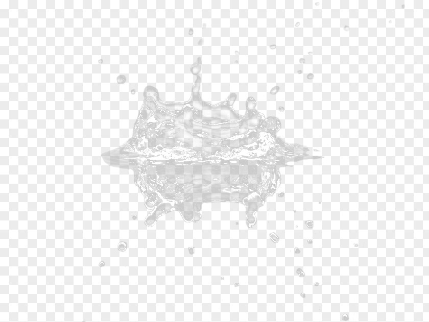 Water Droplets Splash White Black Pattern PNG