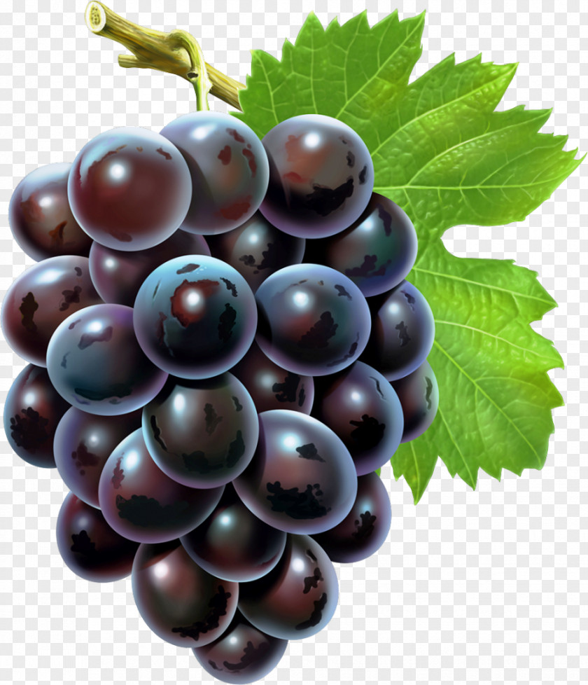 Grapes Grape Seed Extract Android Oil PNG