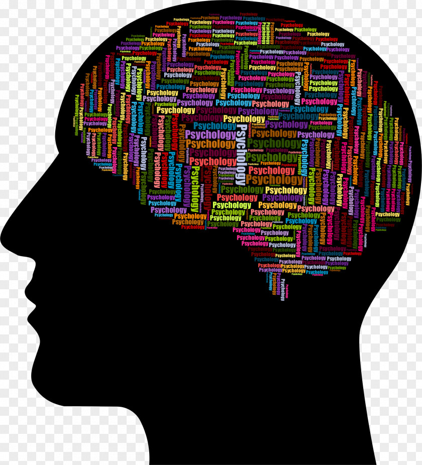 Psychology Human Brain Puzzle Clip Art Psychologist Image Openclipart PNG