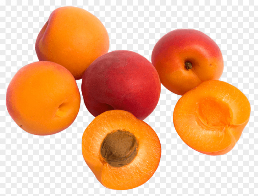 Apricot Organic Food Clip Art Transparency PNG