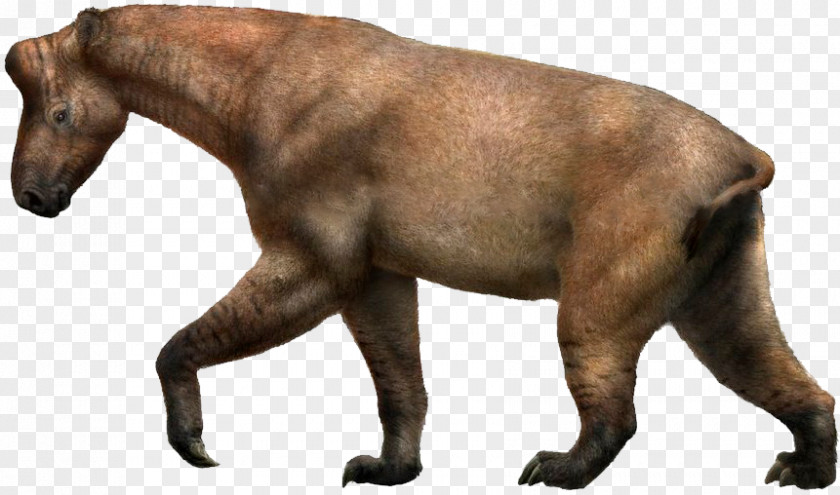 Chalicotherium Ancylotherium Tanystropheus Miocene Dinocrocuta PNG