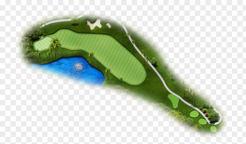Golf Hole Course Tees Par Fairway PNG