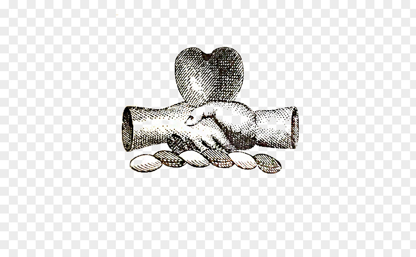 Silver Animal PNG