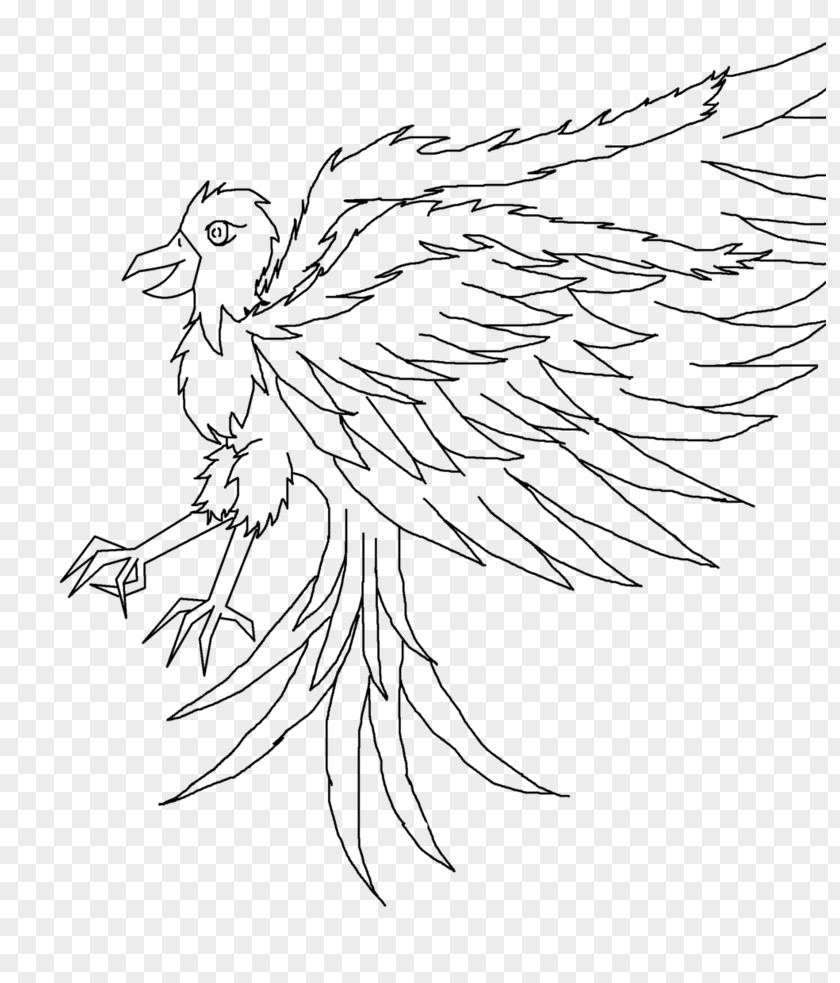 Bird Line Chicken Art Drawing /m/02csf PNG