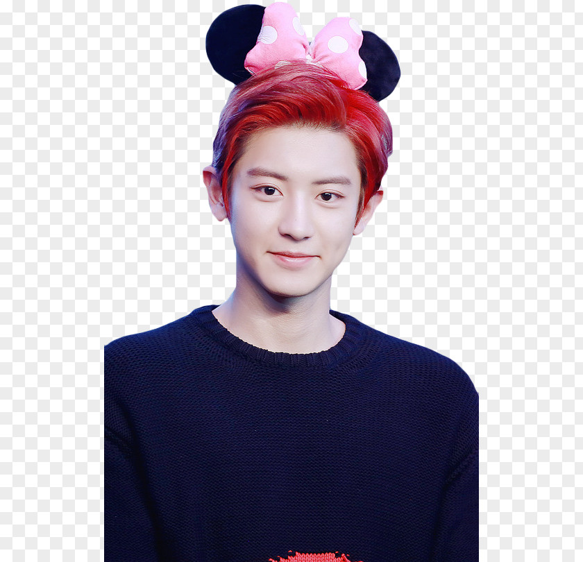 Chanyeol EXO K-pop Yahoo! Auctions Price PNG