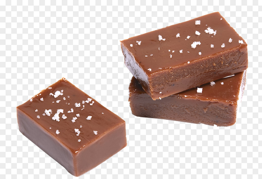 Chocolate Fudge Praline Dominostein Bonbon PNG