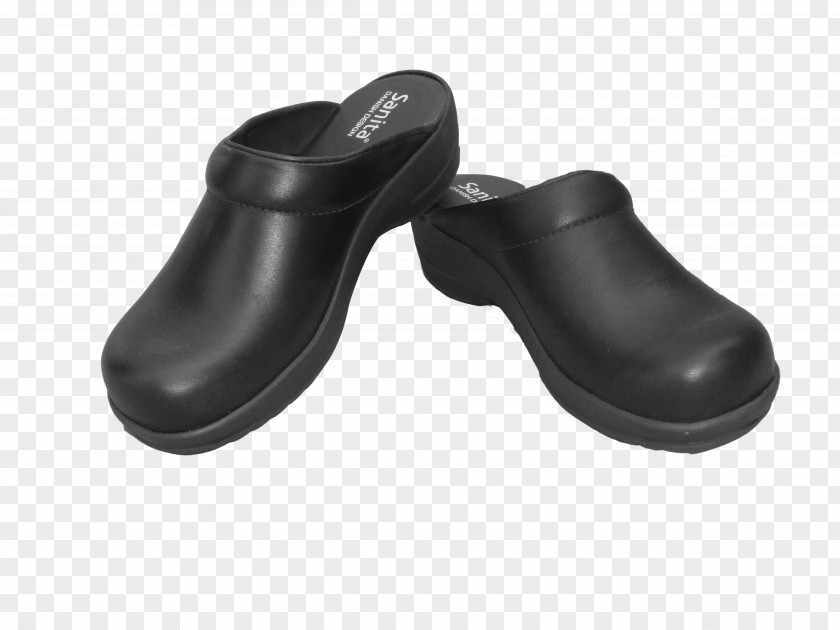 Clog Shoe Heel Footwear PNG