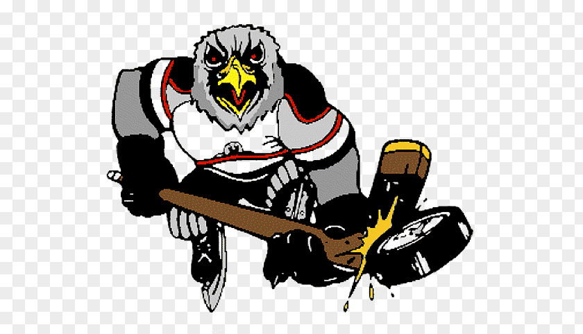 Detroit Falcons Bentley Men's Ice Hockey National League PNG