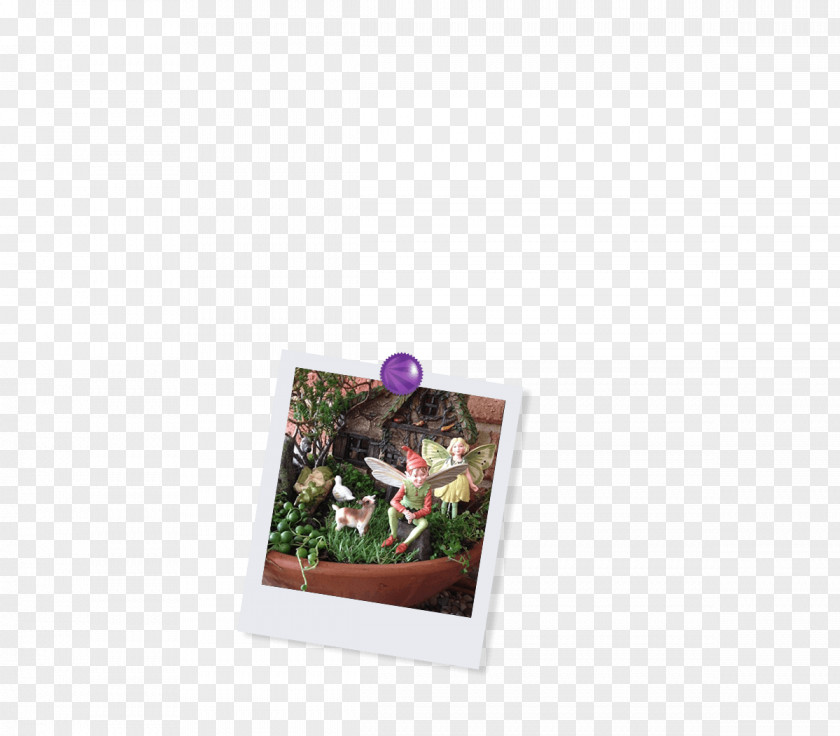 Flower Picture Frames Product Rectangle Image PNG