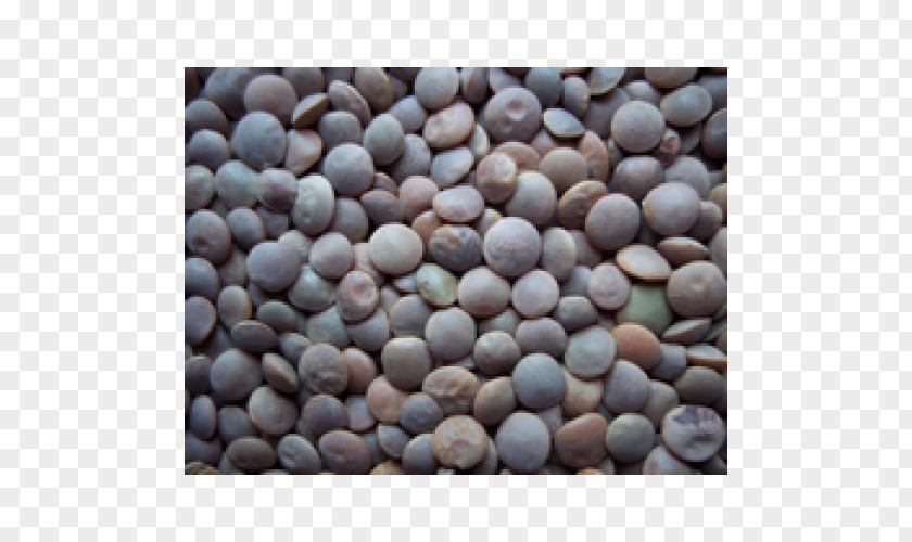 Green Lentils Seed PNG