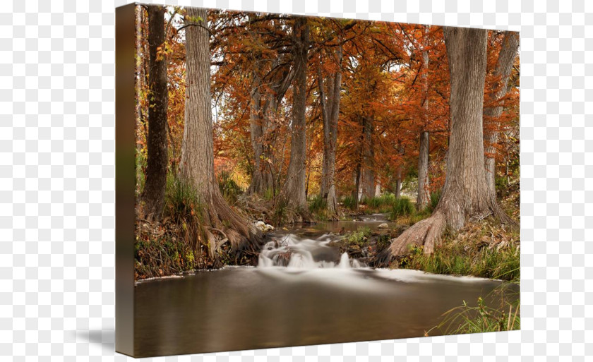 Hill River Guadalupe Gallery Wrap /m/083vt Painting Canvas PNG