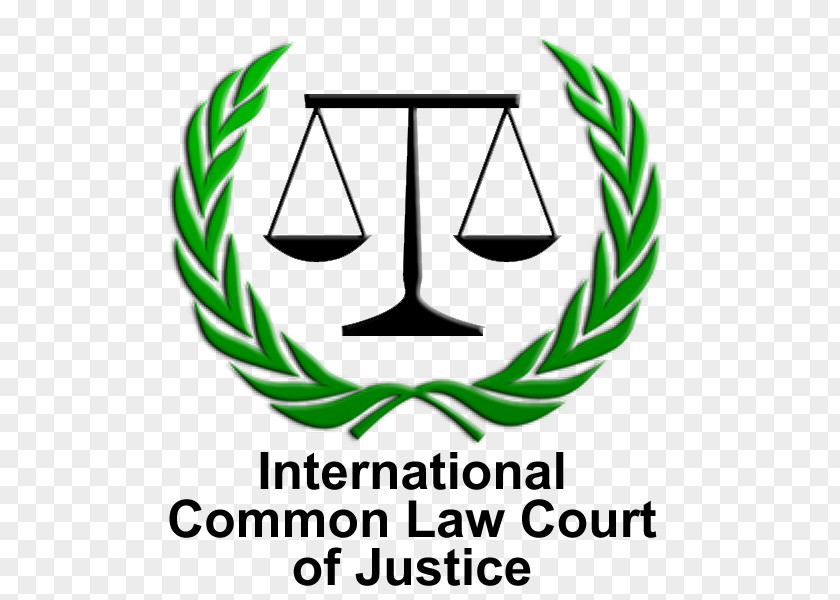 International Court Common Law Judge Crime PNG