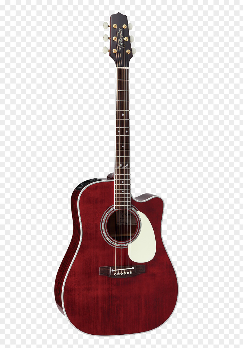 Acoustic Guitar Takamine Guitars Twelve-string Acoustic-electric Dreadnought PNG