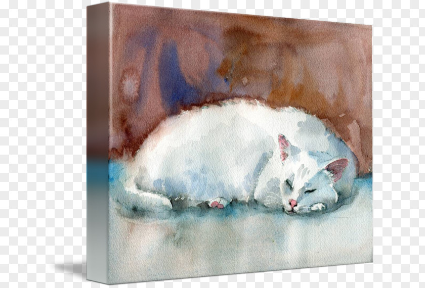 Cat Watercolor Whiskers Painting Kitten Portrait PNG