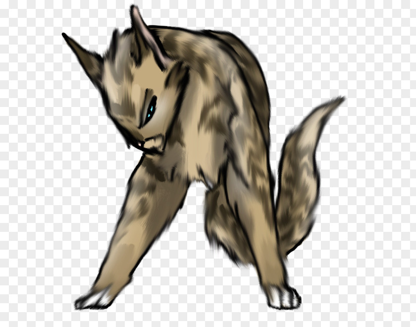 Cat Whiskers Red Fox Gray Wolf Fur PNG