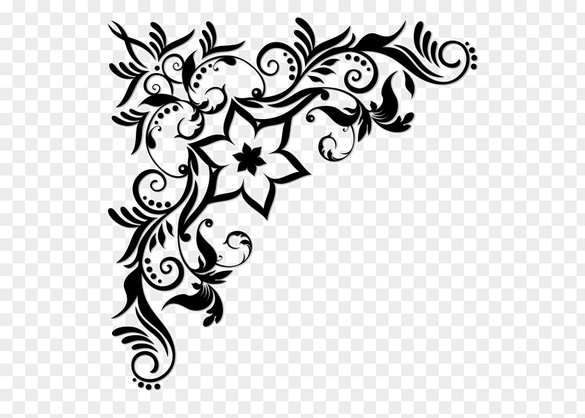 Design Decorative Borders Vector Graphics Clip Art Floral PNG