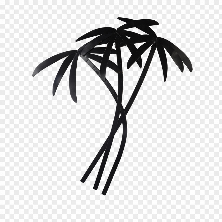 Flower Plant Stem Palm Tree PNG