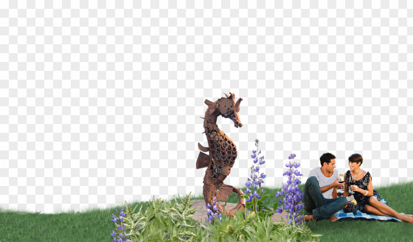 Horse Giraffe Lawn Tree Google Play PNG