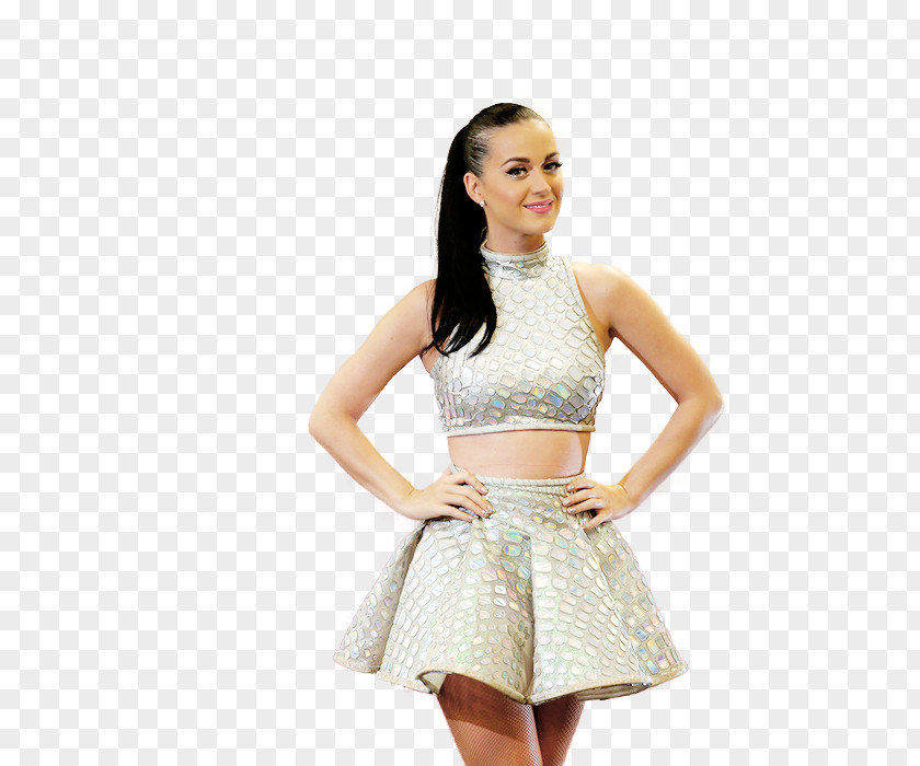 Katy Perry Dress Miniskirt Katycats Model PNG