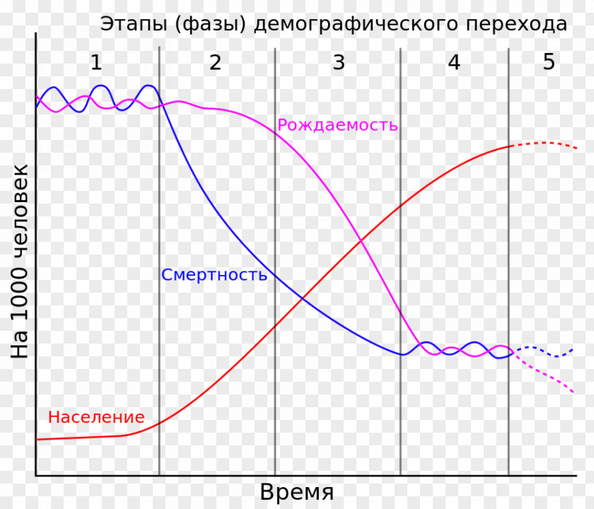 Stages Demographic Transition AP Human Geography Demography Population PNG