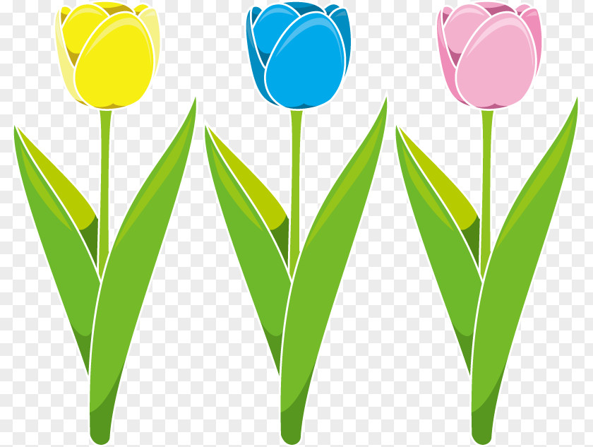 Tulip Cut Flowers Petal Clip Art PNG