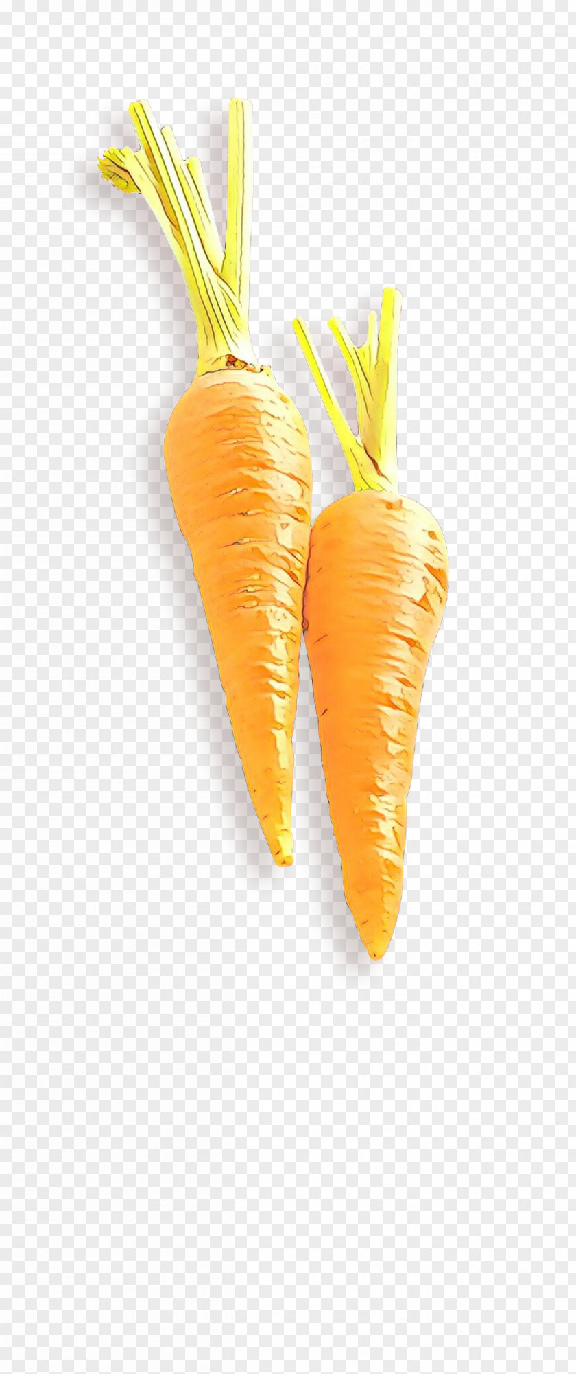 Plant Baby Carrot Orange PNG