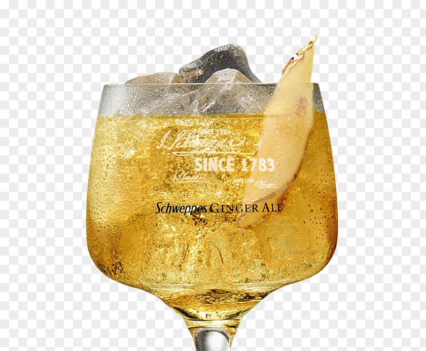 Wine Champagne Glass PNG