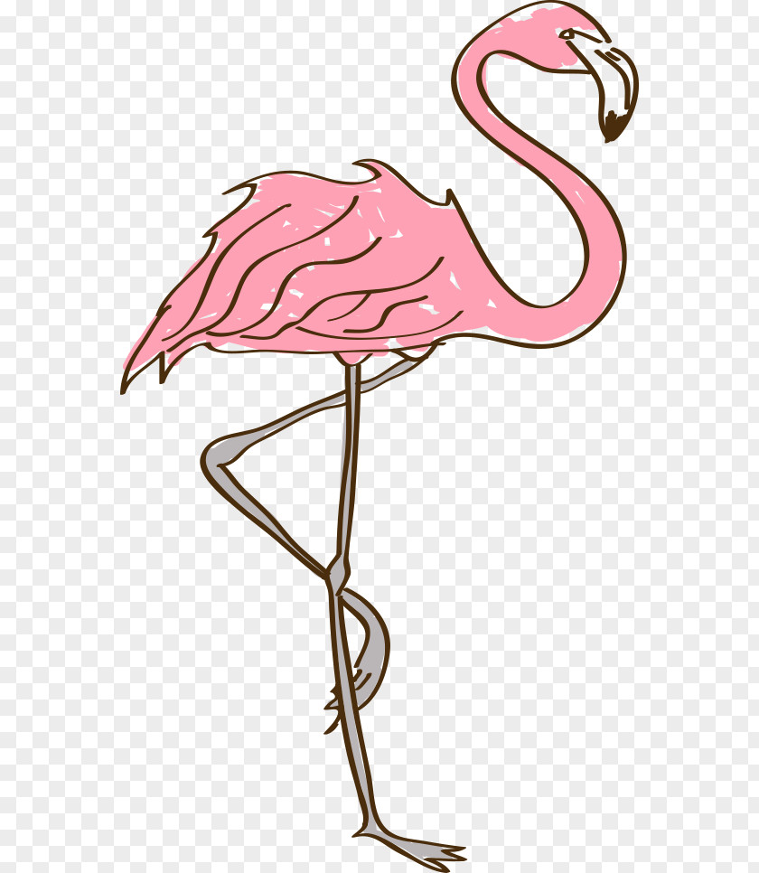 Cartoon Painted Ostrich Common Drawing Clip Art PNG