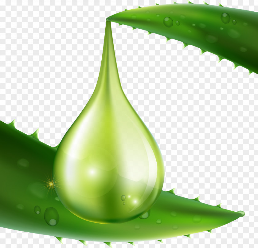 Aloe Vera Oil Hand-painted Deduction Material Skin Care Collagen PNG